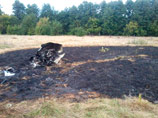 В Липецкой области упал легкомоторный самолет: четверо погибших