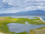 Озеро Байкал превращается в болото из-за чужеродных водорослей, предупреждают экологи