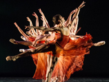 Пять ведущих балетов мира покажут зрителям закулисную жизнь на интернет-трансляции