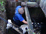 В Биробиджане спасателям пришлось вытягивать автокраном Буренку, провалившуюся в выгребную яму (ВИДЕО)