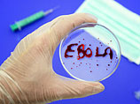 Вирус Эбола угрожает существованию Либерии, заявил министр обороны страны Совбезу ООН