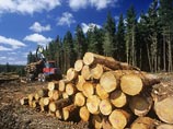 "Лесотехнические мероприятия" в Калининградской области приняли в Польше за подготовку России к вторжению "Лесотехнические мероприятия" в Калининградской области приняли в Польше за подготовку России к вторжению