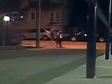 Полиция Огайо опубликовала ВИДЕО уличного изнасилования в надежде, что кто-то опознает преступника Полиция Огайо опубликовала ВИДЕО уличного изнасилования в надежде, что кто-то опознает преступника