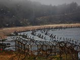 Южнокорейские пограничники арестовали гражданина США, который пытался нелегально переплыть реку, разделяющую две Кореи