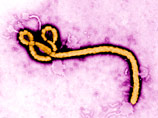 Обама рассказал, что сделают США для борьбы со "смертельной угрозой для глобальной безопасности" - лихорадкой Эбола
