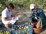 В Крыму отметили полгода в России, а потом власти признались: есть дефицит продуктов В Крыму отметили полгода в России, а потом власти признались: есть дефицит продуктов