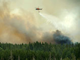 Площадь пожара превышала 1000 гектар, в тушении пришлось задействовать вертолеты