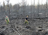 Шведские спасатели опоздали на крупнейший лесной пожар из-за ошибки навигатора