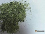 ФСКН пытается запретить все "спайсы" в России, однако регулярно появляются новые смеси, которые наркоторговцы маскируют под якобы безопасные "ароматизированные смеси" ФСКН пытается запретить все "спайсы" в России, однако регулярно появляются новые смеси, которые наркоторговцы маскируют под якобы безопасные "ароматизированные смеси"