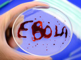 Медики из Таиланда объявили, что нашли вакцину против вируса Эбола и вскоре ее представят