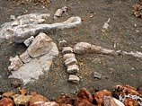 &#65279;Крупнейшее "кладбище" динозавров обнаружено в Мексике
