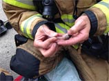 Американские пожарные спасли от огня целое семейство хомяков, надев на них кислородные маски