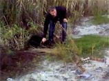 Полиция ХМАО изучает ВИДЕО из интернета, в котором "выходцы с Украины" убивают медвежонка Полиция ХМАО изучает ВИДЕО из интернета, в котором "выходцы с Украины" убивают медвежонка