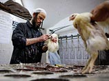 Защитники животных в Израиле попытались спасти кур от "искупления"
