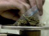 В Пулково у гендиректора словацкой компании, летевшего на Урал, изъято 20 граммов марихуаны