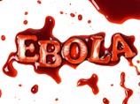 Международные эксперты убеждены: если не будут предприняты "немедленные, сплоченные и решительные" действия, то лихорадка Эбола, которая уже унесла жизни почти четырех тысяч человек в Западной Африке, может стать "всемирным бедствием"