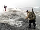 Кремль решил ответить на санкции Запада созданием еще одной госкорпорации, пишут СМИ Кремль решил ответить на санкции Запада созданием еще одной госкорпорации, пишут СМИ