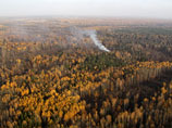 Специалисты ищут причины запаха гари в Москве и Подмосковье: санитарные рубки деревьев ни при чем