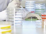 Россельхознадзор выявил вирус АЧС в продукции уже второго белорусского комбината Россельхознадзор выявил вирус АЧС в продукции уже второго белорусского комбината