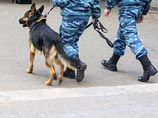 В Подмосковье с собаками ищут хулигана, который угнал электричку и столкнулся на ней с другим поездом В Подмосковье с собаками ищут хулигана, который угнал электричку и столкнулся на ней с другим поездом