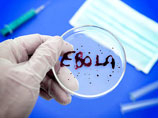 Евросоюз направит на борьбу с вирусом Эбола более одного миллиарда евро
