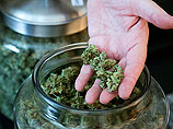 В ноябре 2012 года в американских штатах Колорадо и Вашингтон на референдумах решили легализовать марихуану. На прилавках магазинов в Колорадо "травка" уже давно появилась