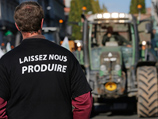 Своими действиями группа протестующих фермеров попыталась призвать потребителей активнее покупать французскую сельхозпродукцию, цены на которую упали до критических отметок после ограничения импорта со стороны РФ