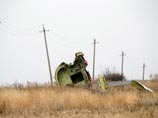 Расследование крушения самолета Boeing на Украине продлено до августа 2015 года