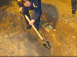 Убийц 32-летней новгородки, пропавшей после посещения кафе, поймали при попытке откопать ее труп