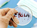 В США успешно испытали вакцину от лихорадки Эбола
В США успешно испытали вакцину от лихорадки Эбола