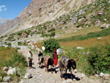 Россия пожертвует 6,7 млн долларов таджикским крестьянам на развитие ферм