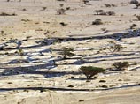 Миллионы литров сырой нефти из поврежденного трубопровода затопили 100 гектаров на юге Израиля