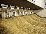 Экспортеры российской пшеницы не заключают новых контрактов из-за колебаний курса рубля