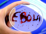 В лаборатории в США недоглядели за Эболой: лаборант и дюжина сотрудников рискуют заразиться