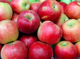 Reuters: яблочный бизнес Тимченко расцвел на продуктовом эмбарго