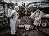 Эпидемию лихорадки Эбола в Африке вызвали игры с летучими мышами, предполагают исследователи