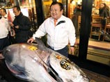 Покупателем тунца, выловленного в Тихом океане у берегов префектуры Аомори, как и в прошлом году, стал владелец крупной токийской сети ресторанов Kiyomura Киёси Кимура