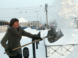 В мэрии Петербурга велели жителям не лениться и самим убирать снег