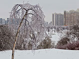 Ночью в Москве ожидается ледяной дождь. Столичные власти уверяют, что готовы, несмотря на отток мигрантов