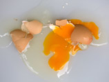 Офис "Мемориала" в Гудермесе закидали яйцами за то, что "защищают Каляпина"