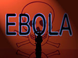 Число новых случаев Эболы во всех наиболее пораженных странах снижается, рапортовала ВОЗ