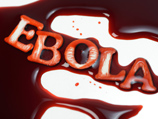 В России проверили почти 40 случаев подозрения на Эболу: зараженных нет