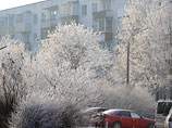 Потепление в Москве: девять тысяч птиц остались зимовать под распустившейся вербой