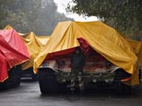 В Индии улицы зачищают от бездомных собак и священных коров к официальному визиту Обамы В Индии улицы зачищают от бездомных собак и священных коров к официальному визиту Обамы