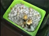 В подмосковной Балашихе задержан гражданин Белоруссии, выращивавший дома наркосодержащие грибы

