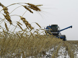 Казахстан из-за неурожая наращивает импорт российского зерна