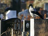 В Коми некрофилы, раскопавшие на кладбище могилу девушки, получили по 1 году колонии-поселения В Коми некрофилы, раскопавшие на кладбище могилу девушки, получили по 1 году колонии-поселения