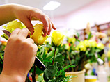 Баронелла Стуцман, владелица магазина "Цветы Арлины" в городе Ричланд штата Вашингтон, отказалась продать цветочные композиции Роберту Ингерсоллу и Курту Фриду для их свадьбы, состоявшейся в марте 2013 года