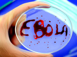 ВОЗ одобрила первый экспресс-тест для выявления лихорадки Эбола