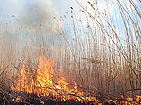 Под Астраханью огнем охвачен уникальный биосферный заповедник, МЧС бездействует, утверждают в Greenpeace